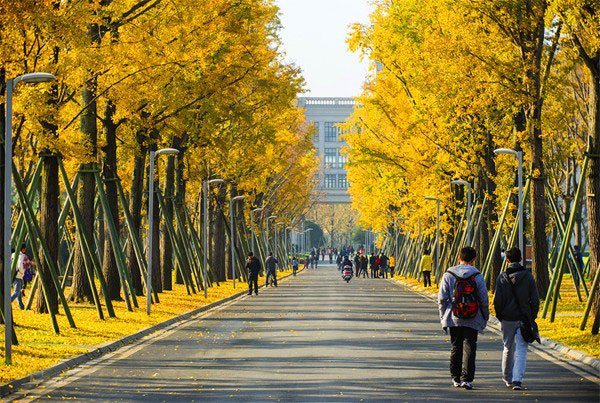 电子科技大学校园风景